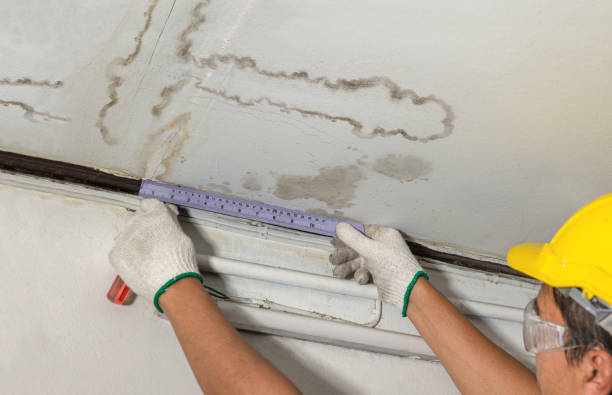 Reliable Mold Remediation contractor in Acton, ME by Local Water Damage Repair